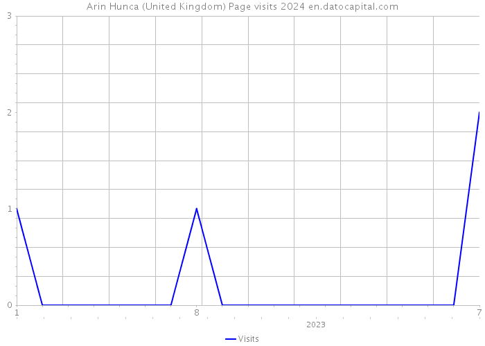 Arin Hunca (United Kingdom) Page visits 2024 