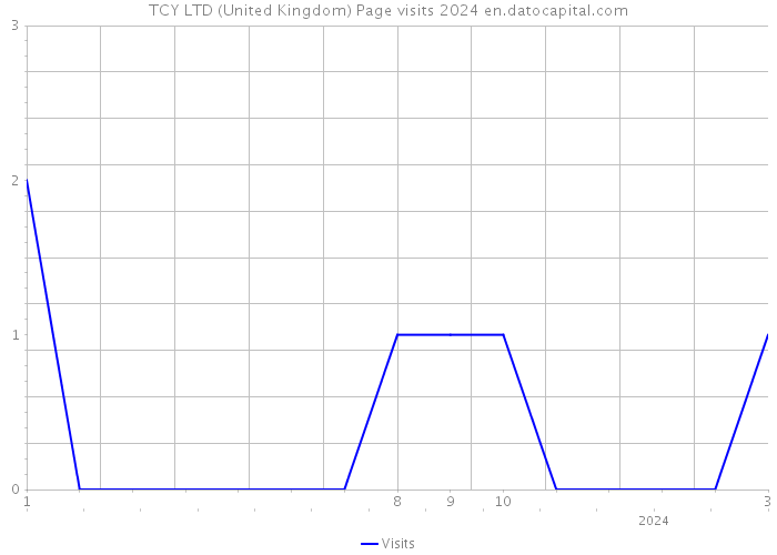 TCY LTD (United Kingdom) Page visits 2024 
