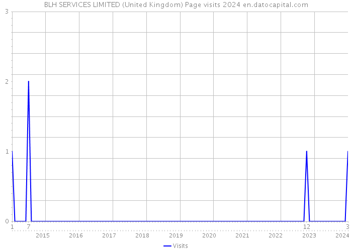 BLH SERVICES LIMITED (United Kingdom) Page visits 2024 