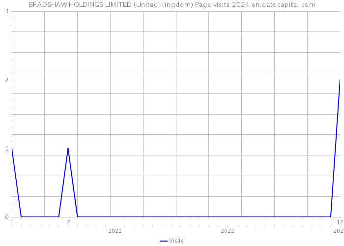 BRADSHAW HOLDINGS LIMITED (United Kingdom) Page visits 2024 