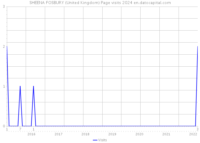 SHEENA FOSBURY (United Kingdom) Page visits 2024 