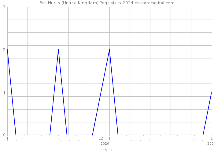 Bas Hurks (United Kingdom) Page visits 2024 