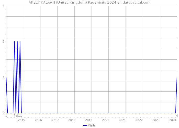 AKBEY KALKAN (United Kingdom) Page visits 2024 