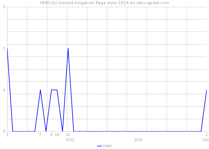 HUEI LIU (United Kingdom) Page visits 2024 