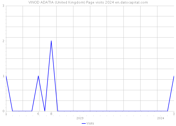 VINOD ADATIA (United Kingdom) Page visits 2024 