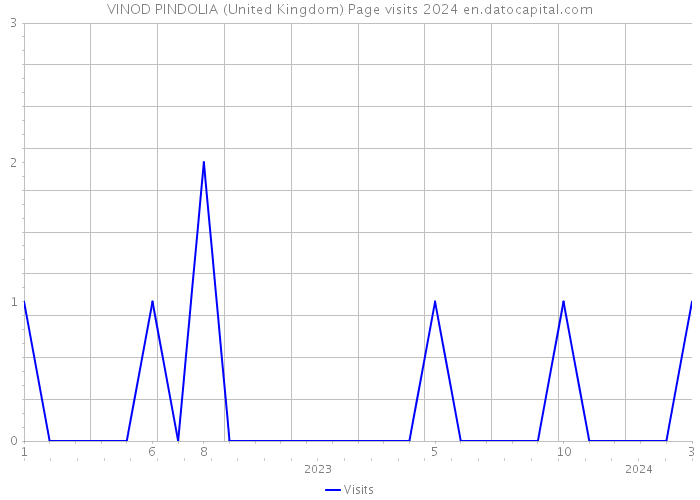 VINOD PINDOLIA (United Kingdom) Page visits 2024 