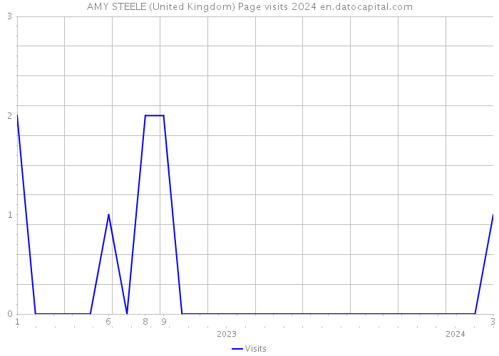 AMY STEELE (United Kingdom) Page visits 2024 