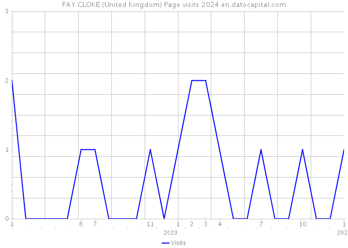FAY CLOKE (United Kingdom) Page visits 2024 
