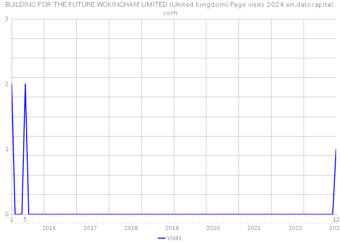 BUILDING FOR THE FUTURE WOKINGHAM LIMITED (United Kingdom) Page visits 2024 
