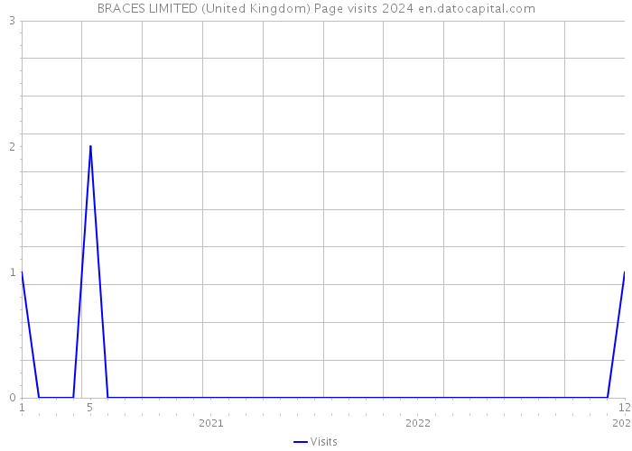 BRACES LIMITED (United Kingdom) Page visits 2024 