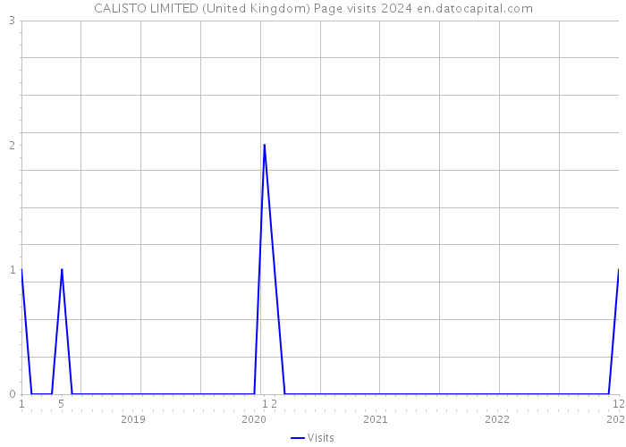 CALISTO LIMITED (United Kingdom) Page visits 2024 