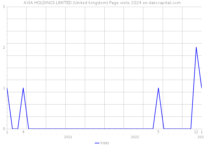 AVIA HOLDINGS LIMITED (United Kingdom) Page visits 2024 