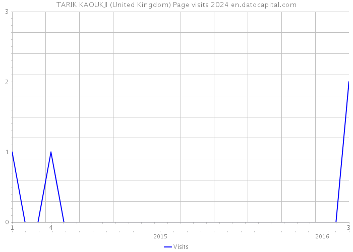 TARIK KAOUKJI (United Kingdom) Page visits 2024 