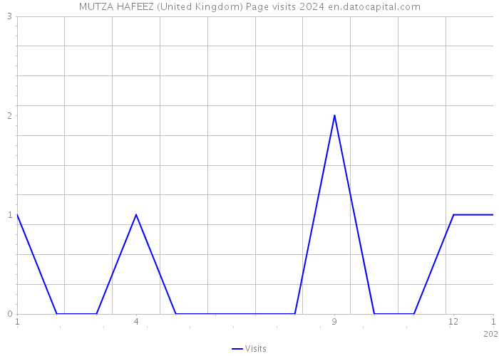 MUTZA HAFEEZ (United Kingdom) Page visits 2024 