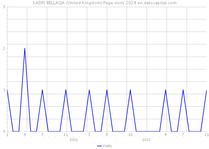KADRI BELLAQA (United Kingdom) Page visits 2024 