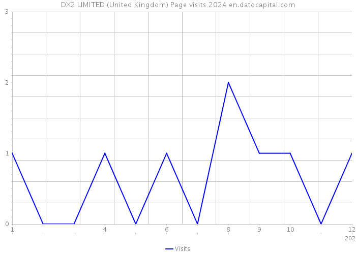 DX2 LIMITED (United Kingdom) Page visits 2024 