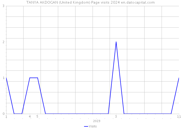 TANYA AKDOGAN (United Kingdom) Page visits 2024 