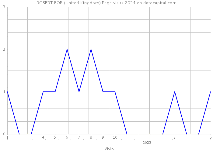 ROBERT BOR (United Kingdom) Page visits 2024 