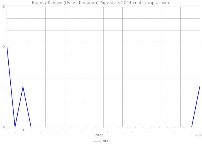 Rodney Kabuye (United Kingdom) Page visits 2024 