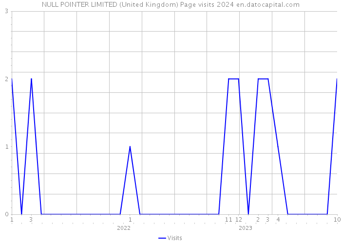NULL POINTER LIMITED (United Kingdom) Page visits 2024 
