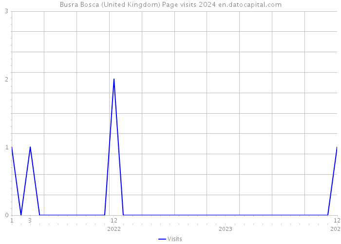 Busra Bosca (United Kingdom) Page visits 2024 