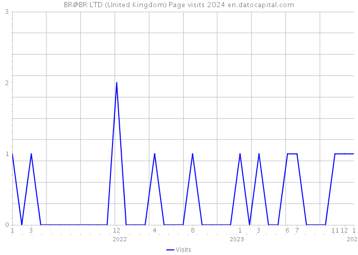 BR@BR LTD (United Kingdom) Page visits 2024 
