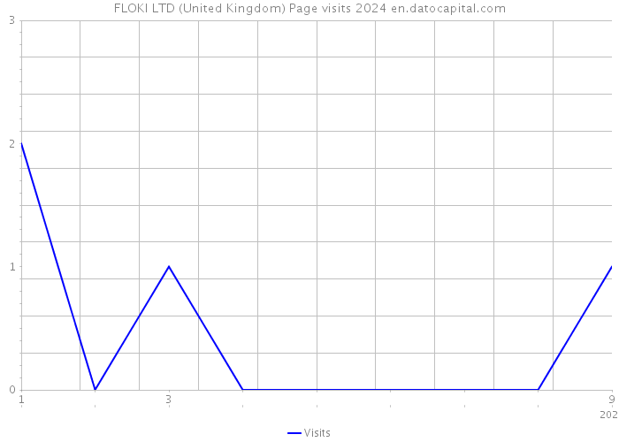 FLOKI LTD (United Kingdom) Page visits 2024 
