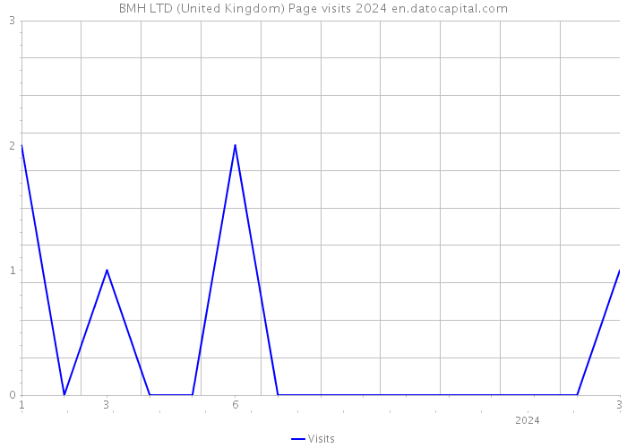 BMH LTD (United Kingdom) Page visits 2024 
