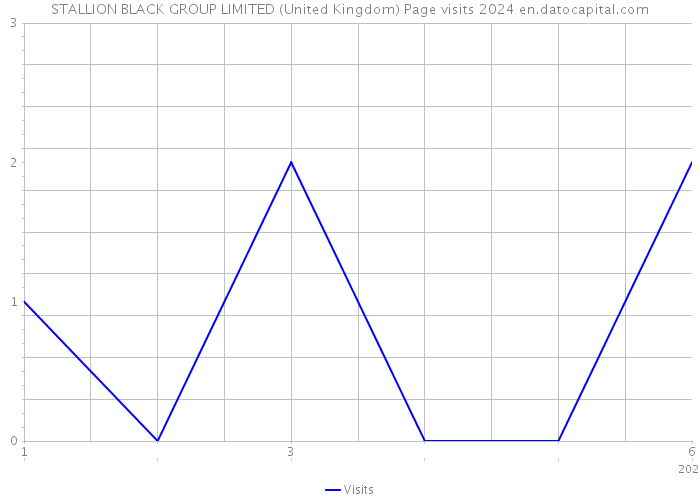 STALLION BLACK GROUP LIMITED (United Kingdom) Page visits 2024 