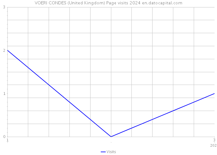 VOERI CONDES (United Kingdom) Page visits 2024 