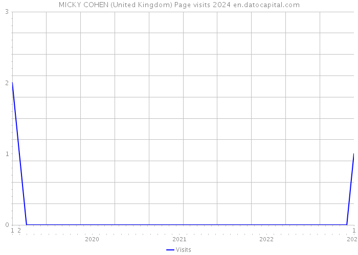 MICKY COHEN (United Kingdom) Page visits 2024 