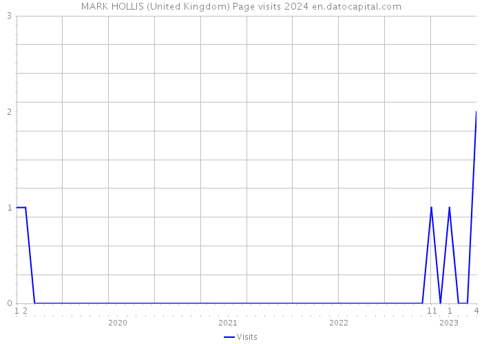 MARK HOLLIS (United Kingdom) Page visits 2024 