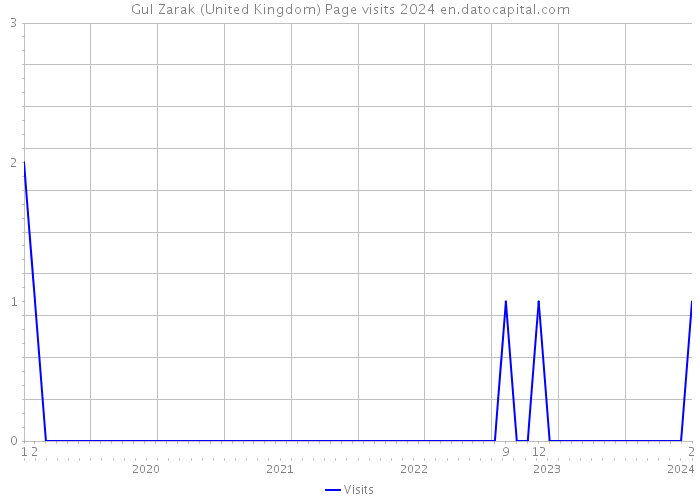 Gul Zarak (United Kingdom) Page visits 2024 