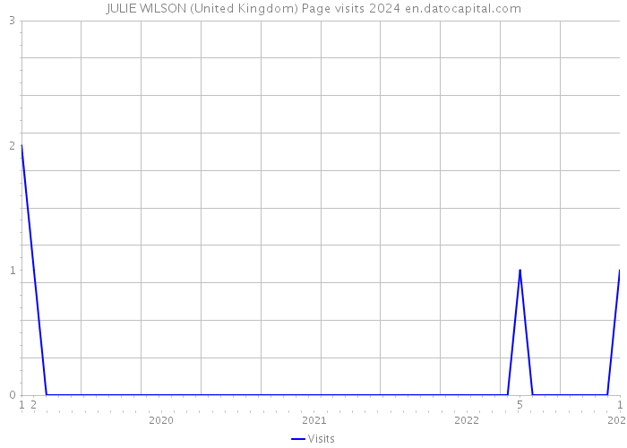 JULIE WILSON (United Kingdom) Page visits 2024 