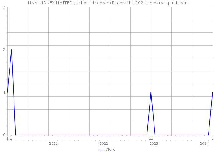 LIAM KIDNEY LIMITED (United Kingdom) Page visits 2024 