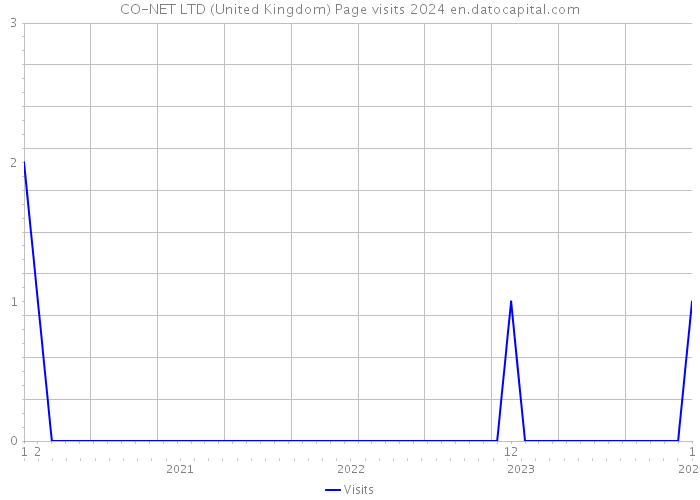 CO-NET LTD (United Kingdom) Page visits 2024 