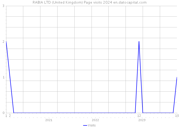 RABIA LTD (United Kingdom) Page visits 2024 