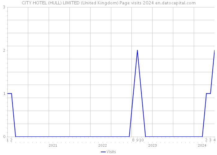 CITY HOTEL (HULL) LIMITED (United Kingdom) Page visits 2024 