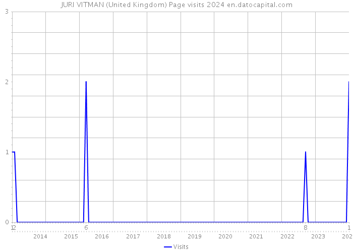 JURI VITMAN (United Kingdom) Page visits 2024 