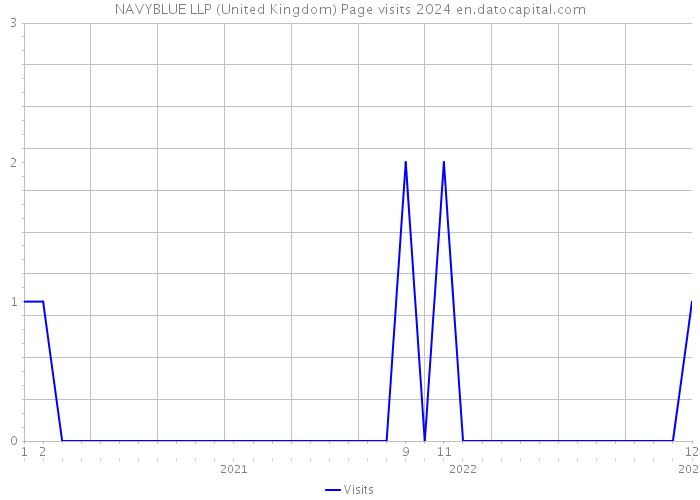 NAVYBLUE LLP (United Kingdom) Page visits 2024 