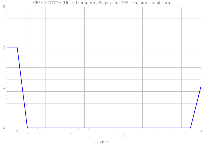 CESAR COTTA (United Kingdom) Page visits 2024 