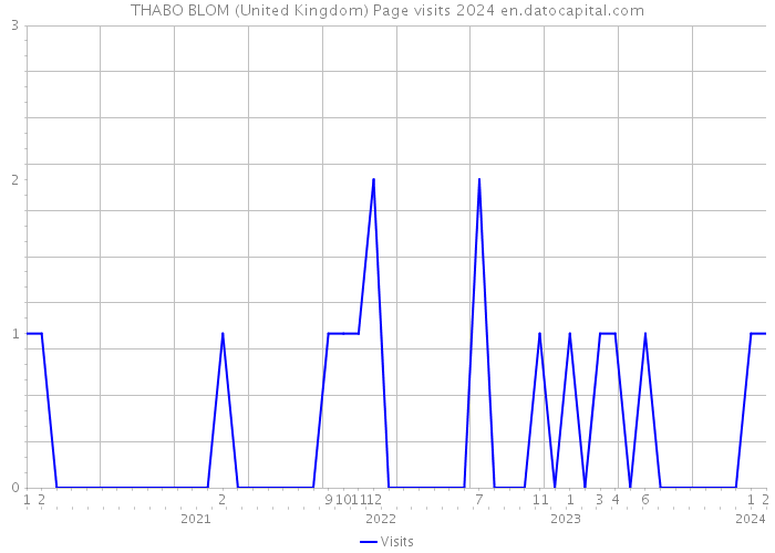 THABO BLOM (United Kingdom) Page visits 2024 