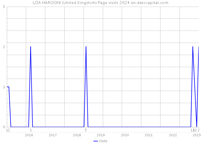 LIZA HAROONI (United Kingdom) Page visits 2024 