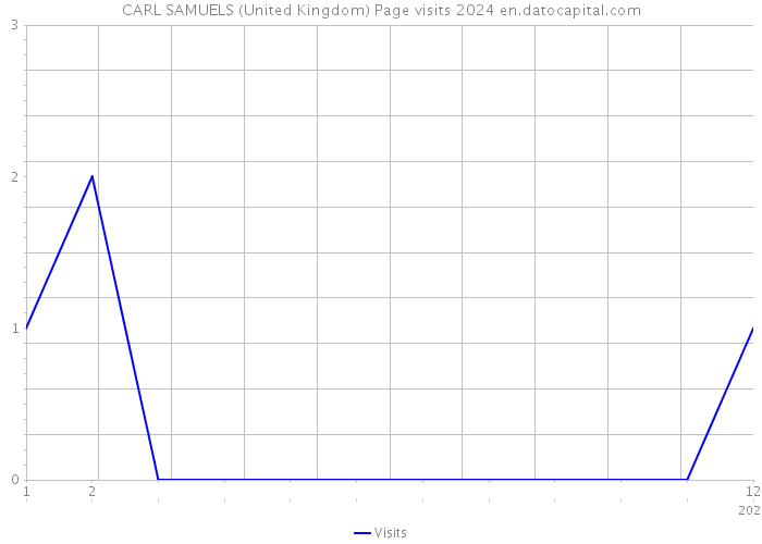 CARL SAMUELS (United Kingdom) Page visits 2024 