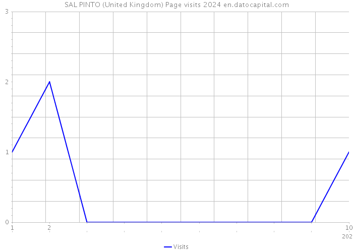 SAL PINTO (United Kingdom) Page visits 2024 