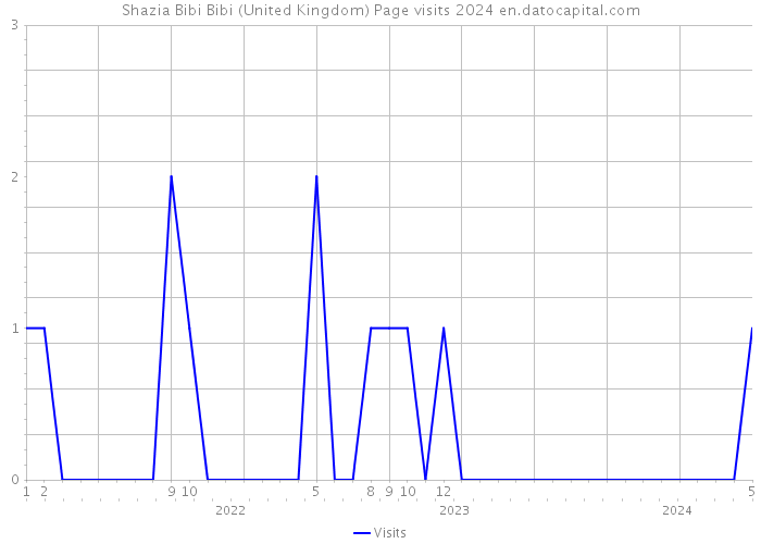 Shazia Bibi Bibi (United Kingdom) Page visits 2024 