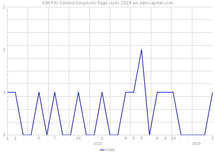 KIM FAI (United Kingdom) Page visits 2024 