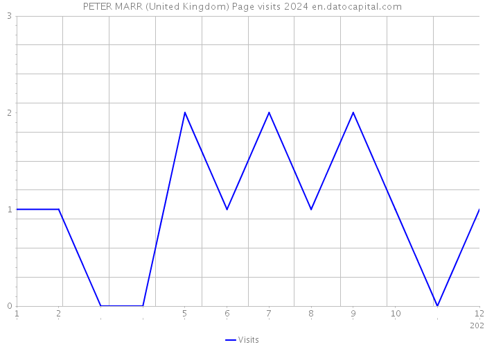 PETER MARR (United Kingdom) Page visits 2024 