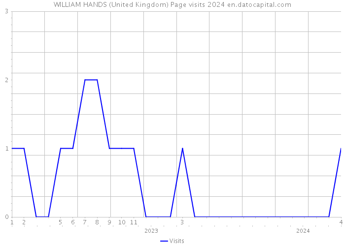 WILLIAM HANDS (United Kingdom) Page visits 2024 