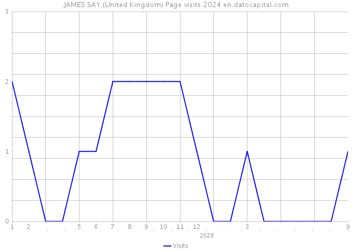 JAMES SAY (United Kingdom) Page visits 2024 
